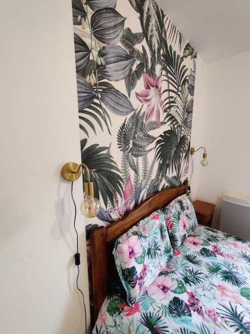Le Tropica Appartement 2 Chambres, Plein Sud Centre Ville De Vitre Ngoại thất bức ảnh